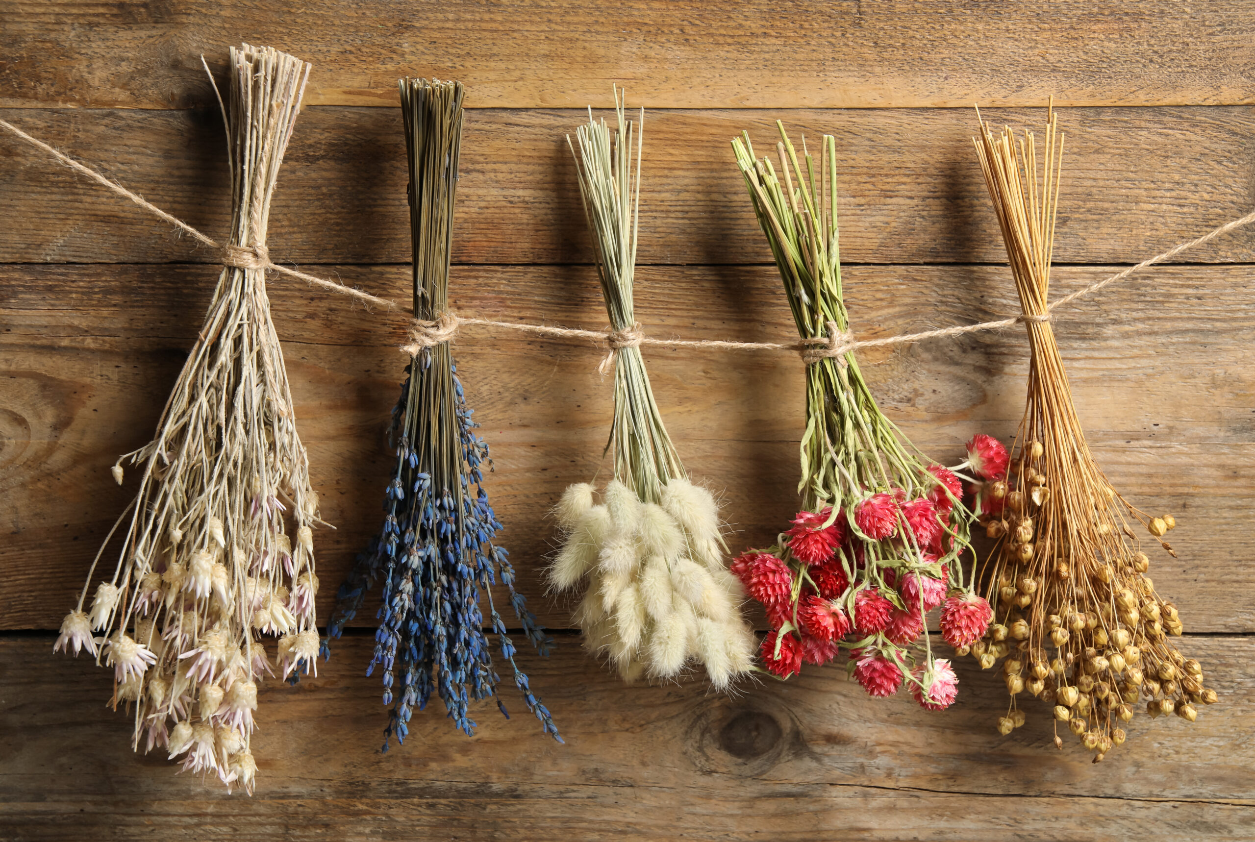 Bunches,Of,Beautiful,Dried,Flowers,Hanging,On,Rope,Near,Wooden